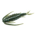 Reins C-Pod Creature 4 inch, 6er Pack